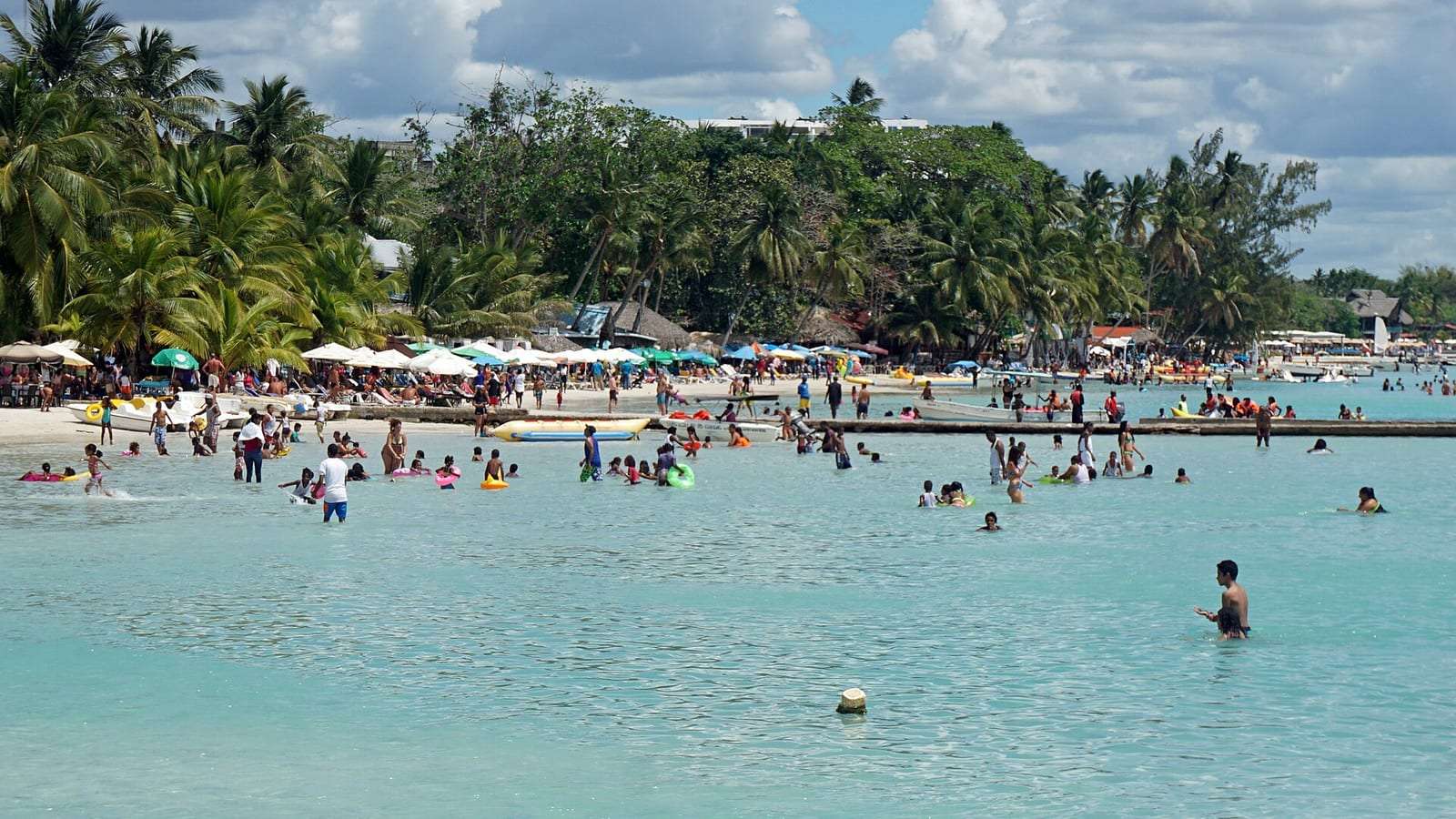 Bañistas en el agua bajita y transparente de la playa de Boca Chica, con palmeras al fondo